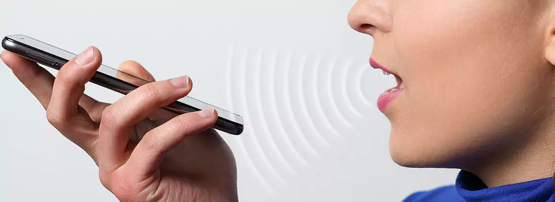 Residential and Commercial Voice Recognition Access Solutions in Tamarac, FL